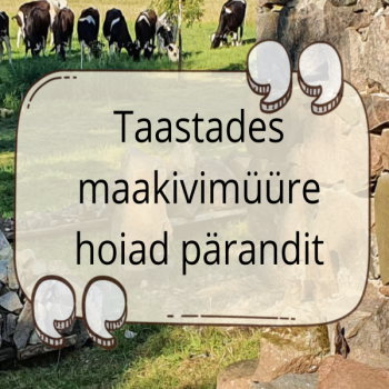 ÄRA TOIMUNUD! Maakivimüüri taastamise koolitus (Järvamaal) 02.09