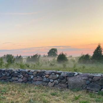 KOOLITUS “Maakiviaia ladumine” Viljandi külje all, Aindus. 9. mai (üks päev)